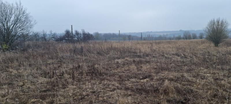 продам земельный участок в России в Белогузово цена 25 192 926 руб., фото №6