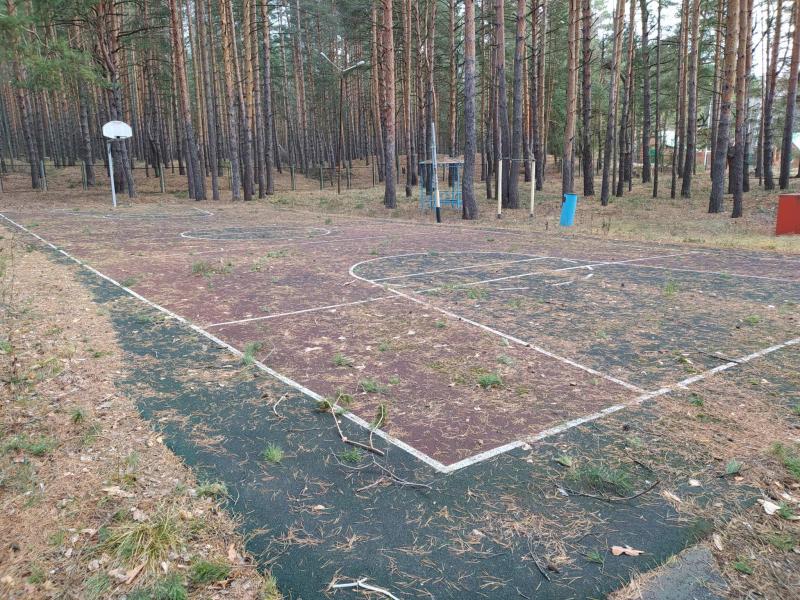 продам коммерческую недвижимость в России в Выползово, Приозерная улица, д.114 цена 177 474 633 руб., фото №22