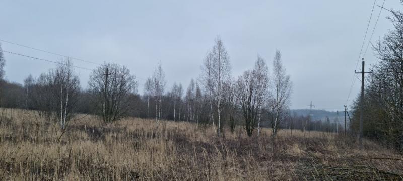 продам земельный участок в России в Белогузово цена 40 840 035 руб., фото №1