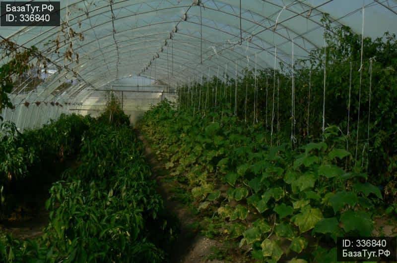 продам дом в Болгарии, Е87 цена 158 400 000 руб., фото №14