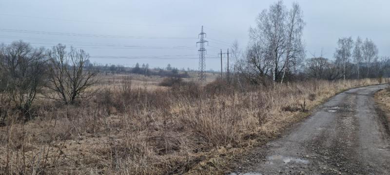 продам земельный участок в России в Белогузово цена 37 283 500 руб., фото №6
