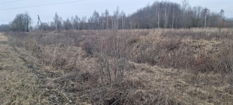 продам земельный участок в России в Белогузово цена 40 840 035 руб., фото №22