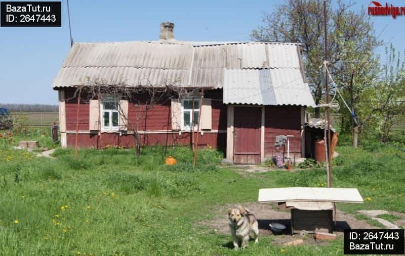 Хутор новый. Краснодарский край Кущевский район Хутор новый урожай. Хутор Новородниковский. Хутор новый урожай Кущевский район ул светлая 55.