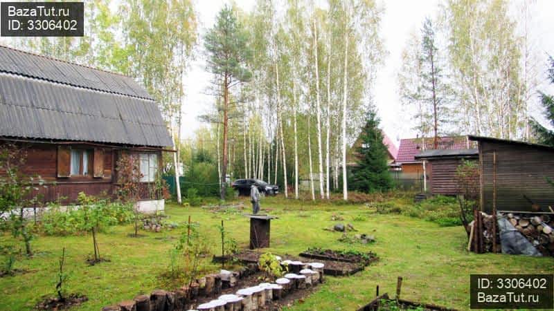 Полянское сельское поселение выборгского. Полянское поселение Выборгского района. Полянское сельское поселение в СПБ. Полянское поселение Выборгский район лагерь. Стройтовары Каменка Полянское поселение Выборгский район.