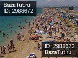 продам магазин,  к. в России в село Береговое, Приморская улица, 11Б цена 5 200 000 руб., фото №10