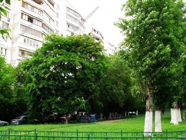 Улица Шоссейная Фото