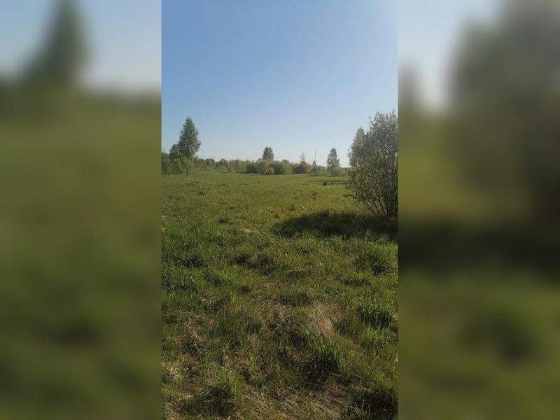 продам земельный участок в России в Веригино цена 2 570 262 руб., фото №2