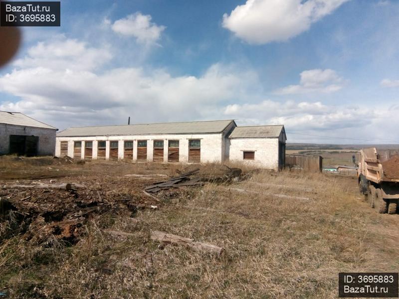 Погода в майске осинского. Деревня Майск Иркутская область.