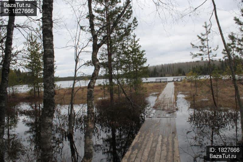 Ст. Пяжиева сельга карелия. Пяжиева сельга 1957 бой с бандитами. Пяжиева сельга петрозаводск. Пяжиева сельга.