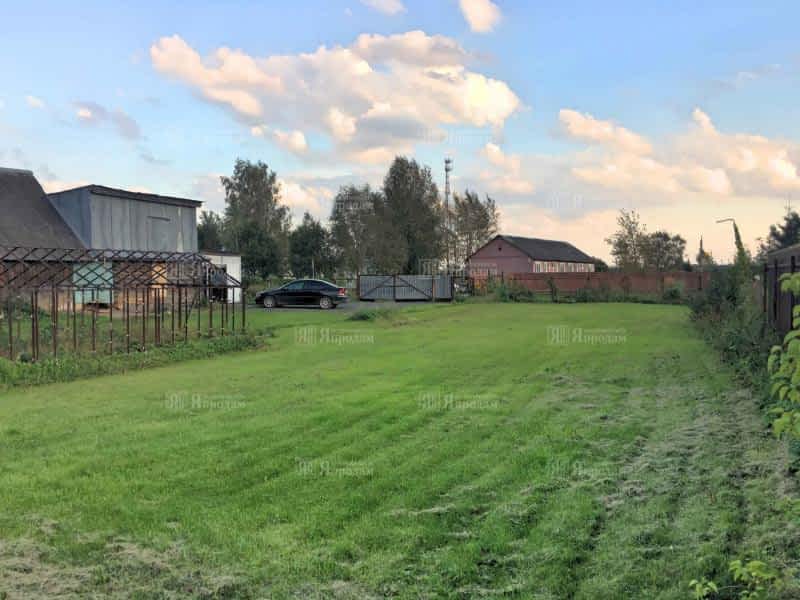 Заповедное озеро днт. 1 место по рыболовству. Д савельево. Савельево рыбалка. Савельево москва.