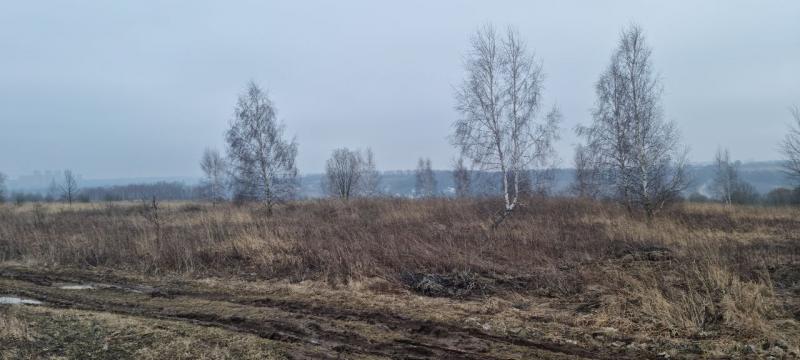 продам земельный участок в России в Белогузово цена 51 083 016 руб., фото №6