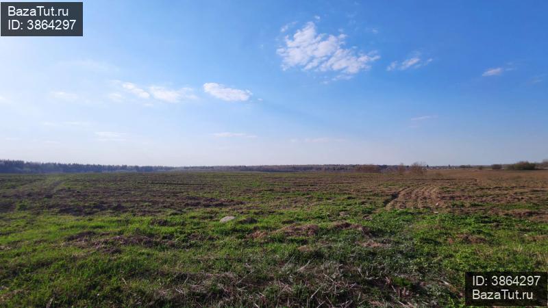 продам земельный участок в России в Сваткове цена 41 600 000 руб., фото №7