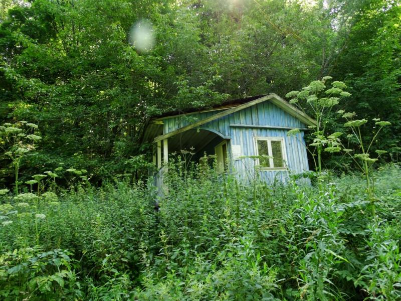 продам коммерческую недвижимость в России в Кисловка, База отдыха Микробиолог территория цена 5 189 421 руб., фото №7