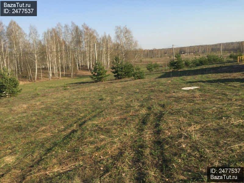 Купить Участок В Осиновой Речке Хаб Района