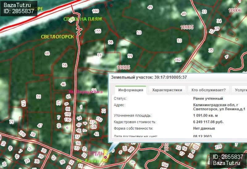 Публичная кадастровая карта светлогорска калининградской области