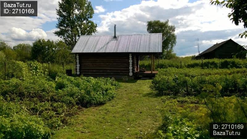 Сандогорское сельское. Сандогора Кострома. Село Сандогора, Костромской район. Река Кострома деревня Сандогора. Сандогора о Костромской обл.