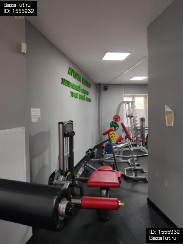 сдам коммерческую недвижимость в России в Люберцах,  Митрофанова ул цена 75 000 руб./месяц, фото №13