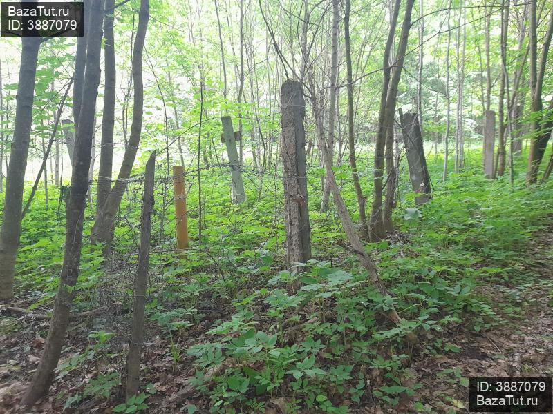 продам коммерческую недвижимость в России в Краснозаводске, Рдултовского площадь, д.3 цена 449 495 201 руб., фото №23