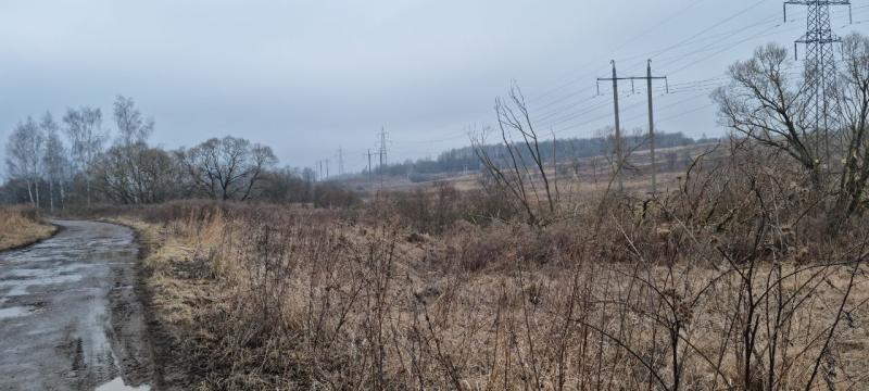 продам земельный участок в России в Белогузово цена 37 283 500 руб., фото №14