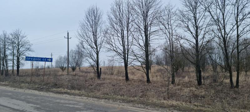 продам земельный участок в России в Белогузово цена 40 840 035 руб., фото №3