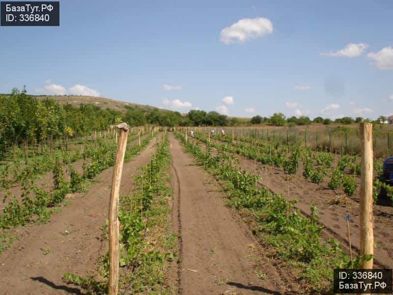 продам дом в Болгарии, Е87 цена 158 400 000 руб., фото №4
