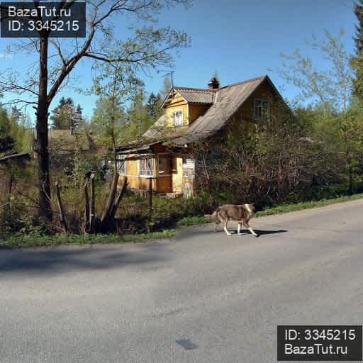 Всеволожск, ул. Всеволожск 2007. Дом на евграфова всеволожск. Евграфова, 35. Дом на евграфова всеволожск.