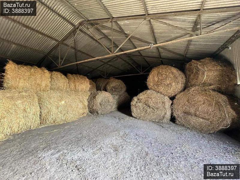 продам склад,  к. в России в п. Белопольск, Новая улица, д.21а/2 цена 8 430 000 руб., фото №6