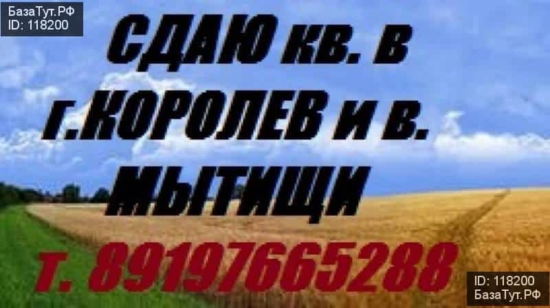 сдам 1 к. квартиру в России в Королеве, проспект Королева цена 19 000 руб./месяц, фото №1