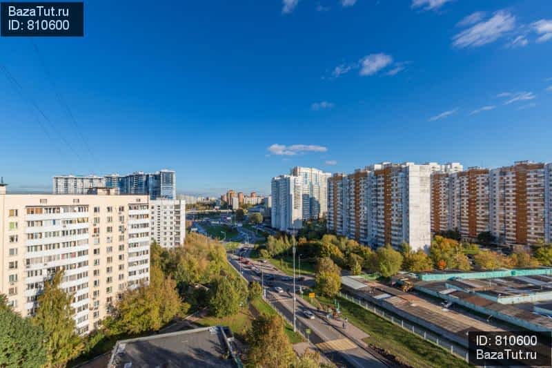 Лион фото на янгеля