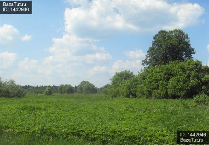 продам земельный участок в России в Красный Холм, улица Калинина цена 250 000 руб., фото №1