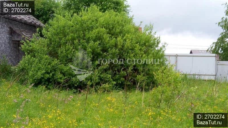 Купить Участок В Зверево Новая Москва