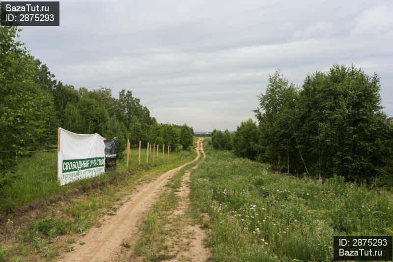 Участки поселок западный. Поселок Мамонов. Поселок Мамоны улица Совхозная.