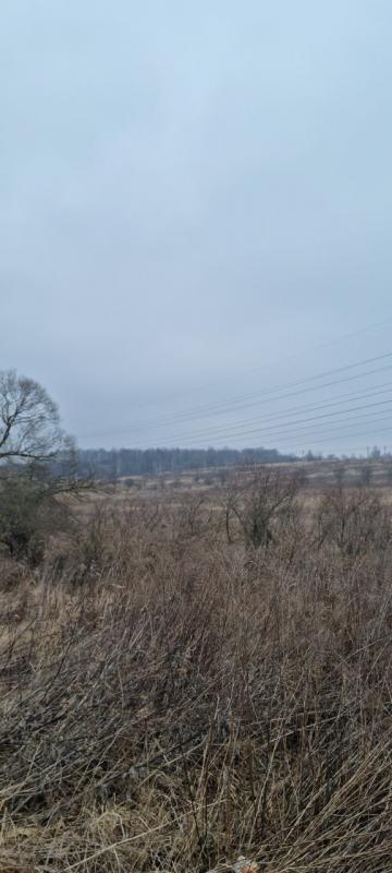 продам земельный участок в России в Белогузово цена 37 283 500 руб., фото №22