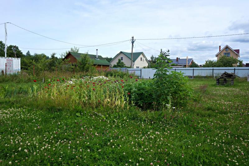 Территория снт. СНТ городское. Интернет СНТ городское. Участки в Ломоносовском районе. Дача городское СНТ Руссо Высоцкое.