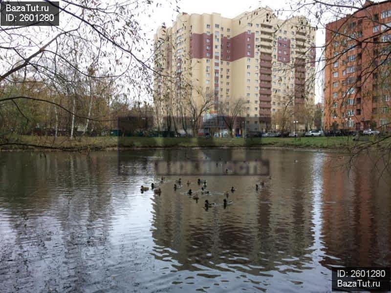 улица парковая 4 люберцы. люберцы парковая д4. парковая ул д1/18 люберцы. люберцы, парковая ул. улица парковая люберцы.