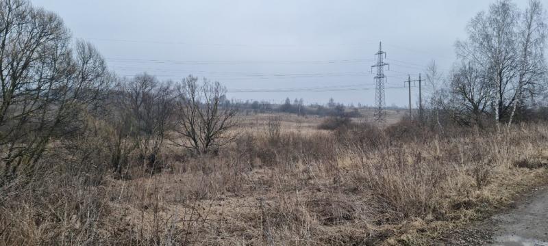 продам земельный участок в России в Белогузово цена 37 283 500 руб., фото №5
