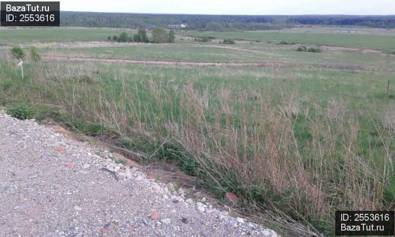 продам земельный участок в России в деревня Карабиха цена 450 000 руб., фото №1