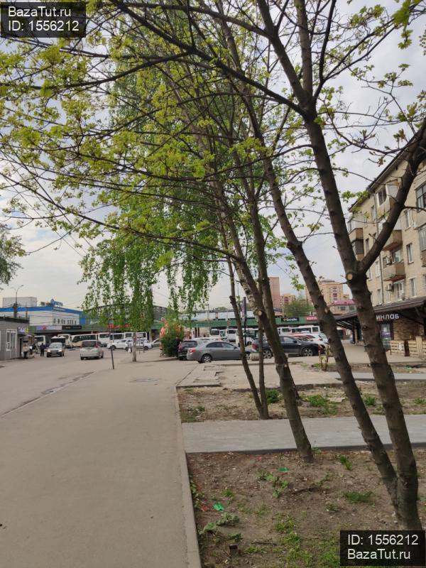 сдам коммерческую недвижимость в России в Люберцах,  Инициативная ул цена 110 000 руб./месяц, фото №23