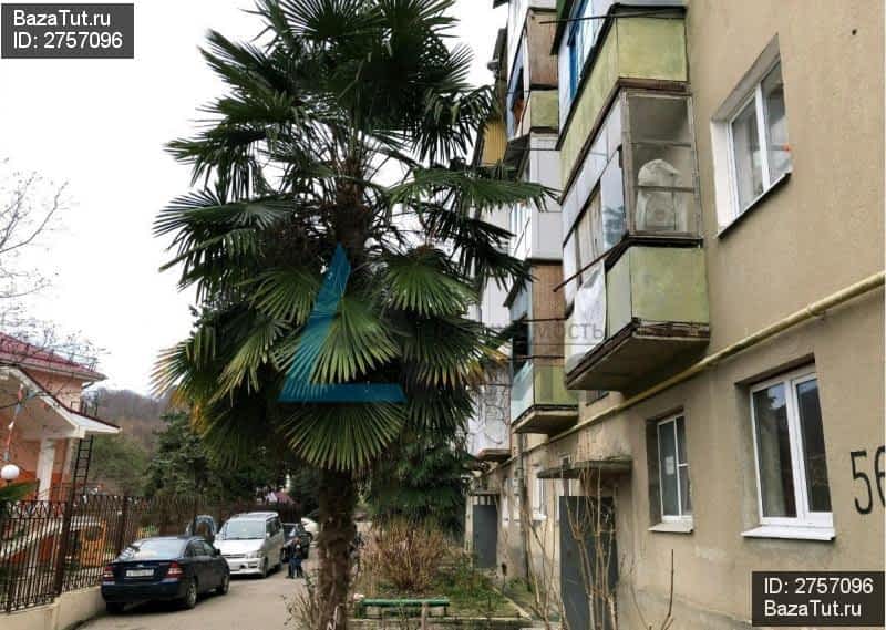 Бобыльская дорога 59 на карте. Жк зеленый бор зеленоград. Сочи, курская ул. Микрорайон ввс. Панельки дома безысходность.