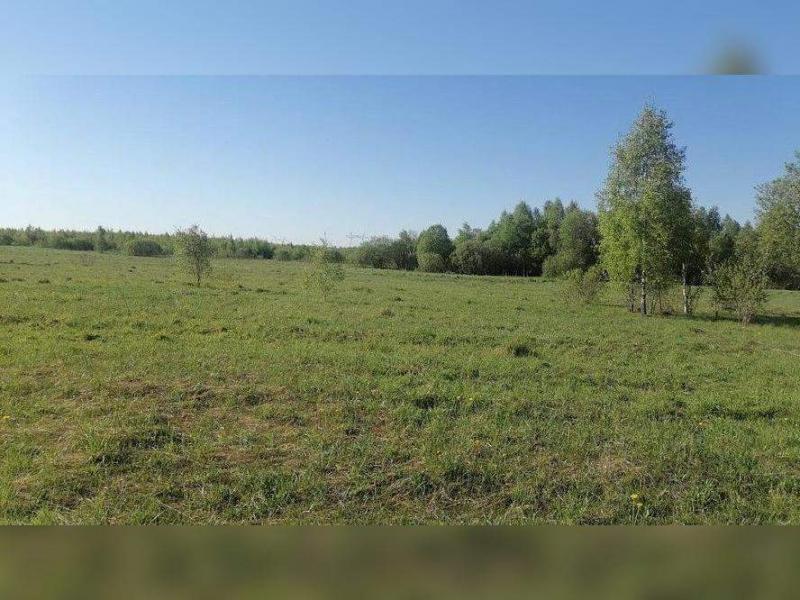 продам земельный участок в России в Веригино цена 4 532 000 руб., фото №1