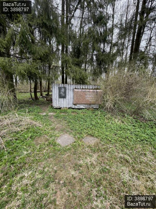 продам дом в России в Даймище, Большой проспект, д.59 цена 2 700 000 руб., фото №20