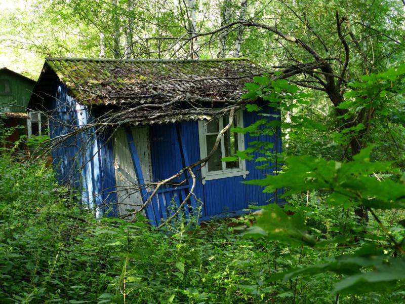 продам коммерческую недвижимость в России в Кисловка, База отдыха Микробиолог территория цена 5 189 421 руб., фото №8