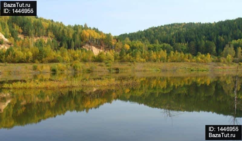 Фото кедровый красноярский край