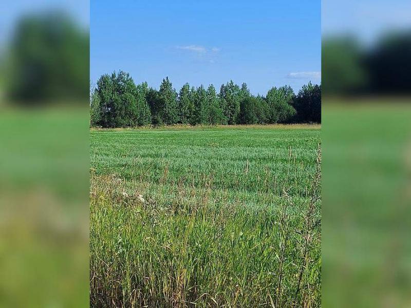 продам земельный участок в России в с. Пажга цена 94 770 руб., фото №1