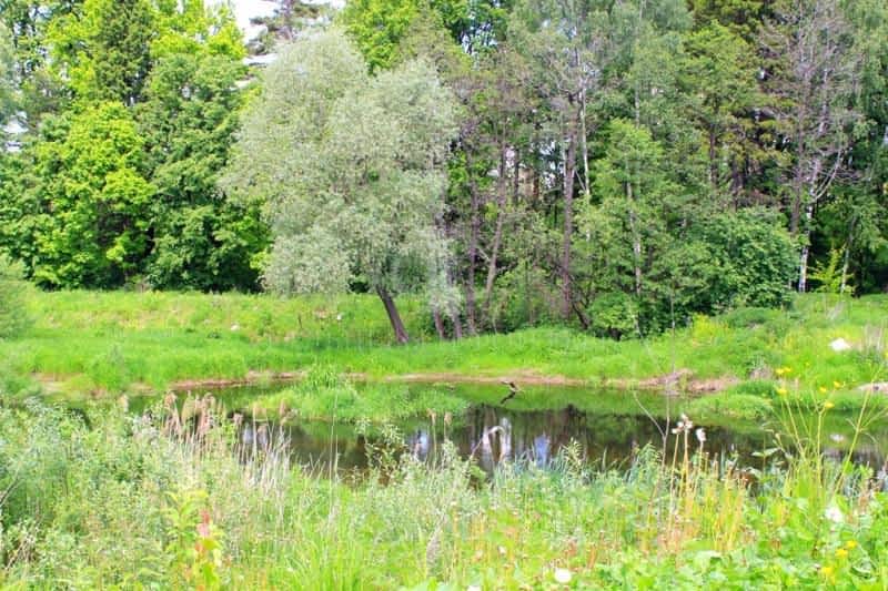 Деревня марусина. Храм Люберцы Марусино. Марусино речка. Старая Церковь Марусино Люберецкий район. Люберецкий район Марусин сад речка.