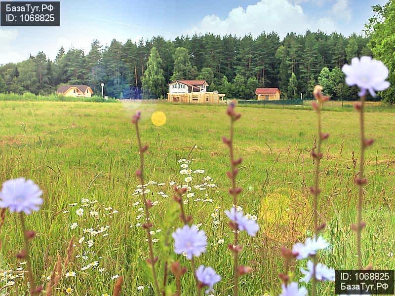 продам земельный участок в России в Боровском районе, 29Н-050 цена 200 000 руб., фото №6