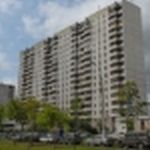 Корпорация 