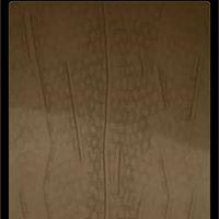 Анечка Лапочка