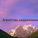 Агентство недвижимости Анис
