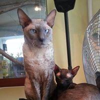 Ольга Габай